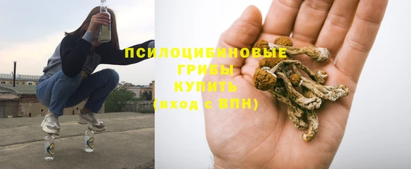 spice Арсеньев