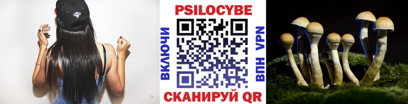 Псилоцибиновые грибы GOLDEN TEACHER Сясьстрой