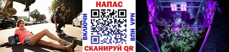 Бошки марихуана Bruce Banner  Сясьстрой 